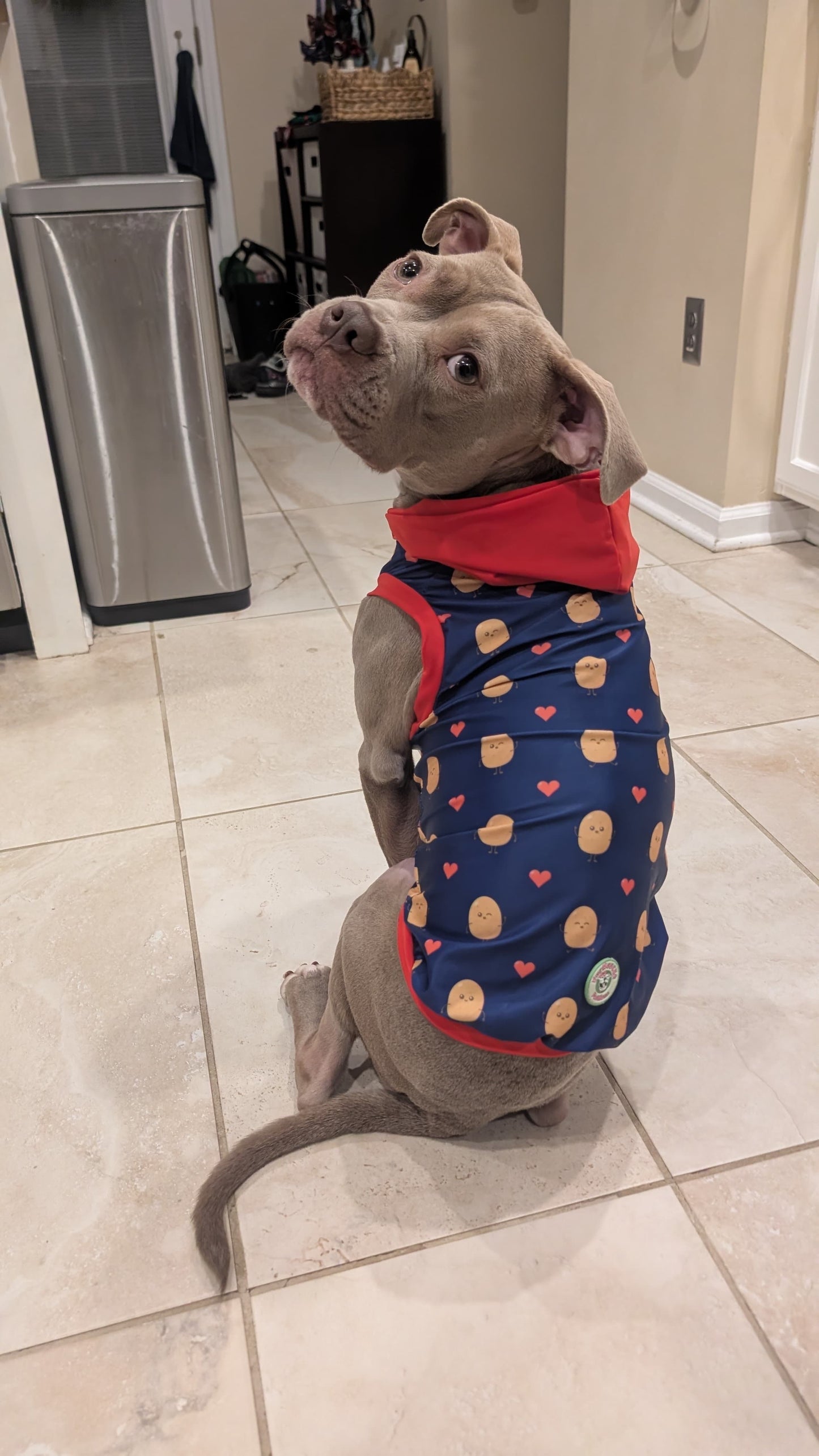 Brunch Love Fest Dog Pajama with Black Neck & Trim/Sleeves