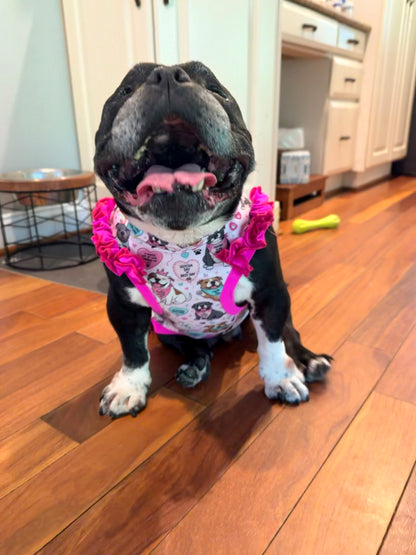 Bully Gotcha Day Pink - Dog Pajama with Aqua Neck & Trim/Sleeves