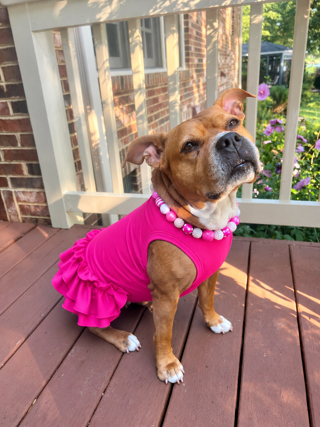 Everyday Solids Dog Dress With Ruffle / With Sleeves or Sleeveless (Available in any pattern)
