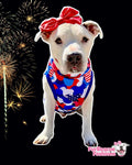 Red, White & Blue Camo American Pittie Dog Pajama with Blue Neck & Trim/Sleeves