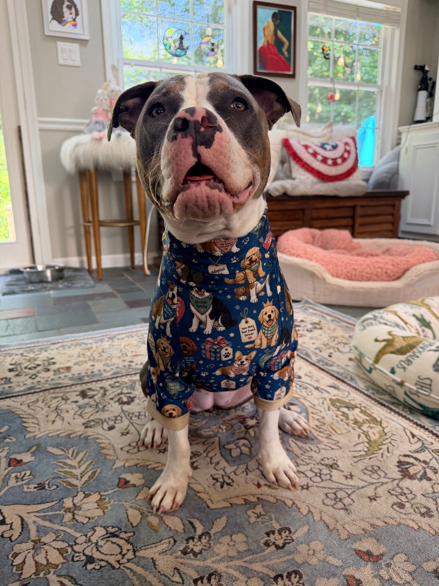 All Breeds Gotcha Day - Dog Pajama with Gold Neck & Trim/Sleeves