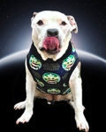 Starbarks meets StarWars Sleveless Dog Shirt