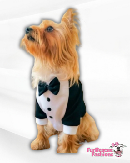 Dog Tuxedo Shirt