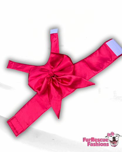 Wrapped in Love Dog Harness