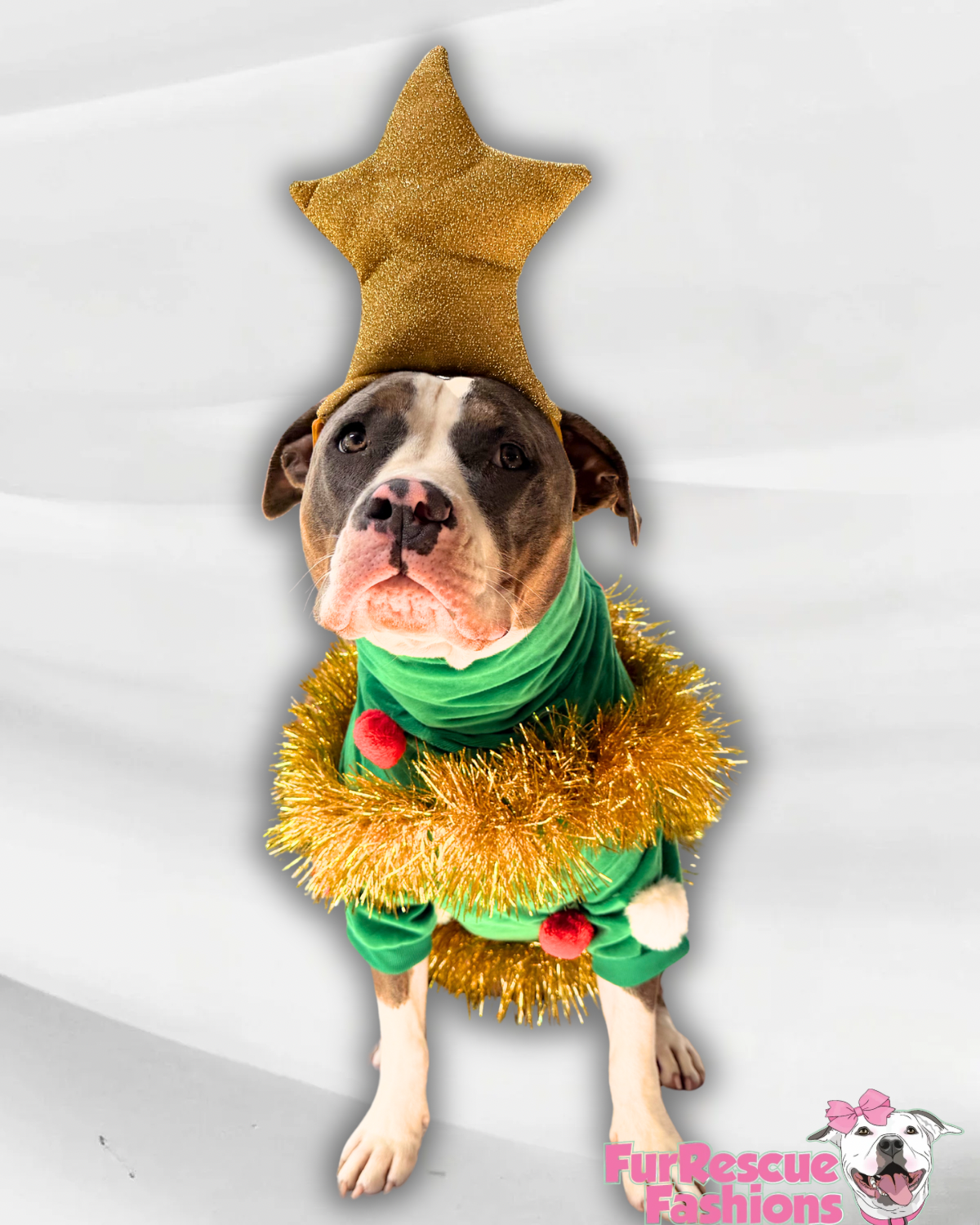 Christmas Tree Dog Outfit