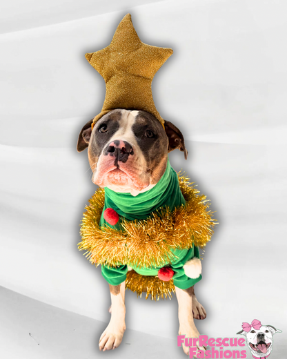 Christmas Tree Dog Outfit