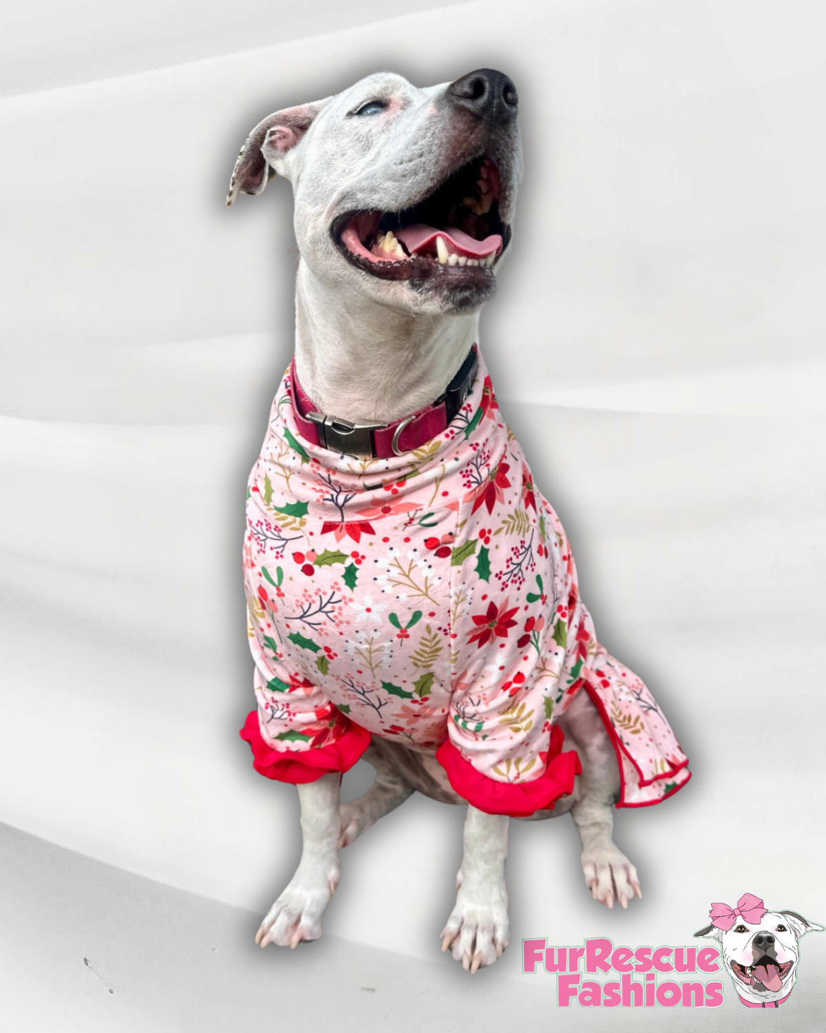 2026 Christmas in July Dog Dress With Ruffle / With Sleeves or Sleeveless (Available in any pattern)
