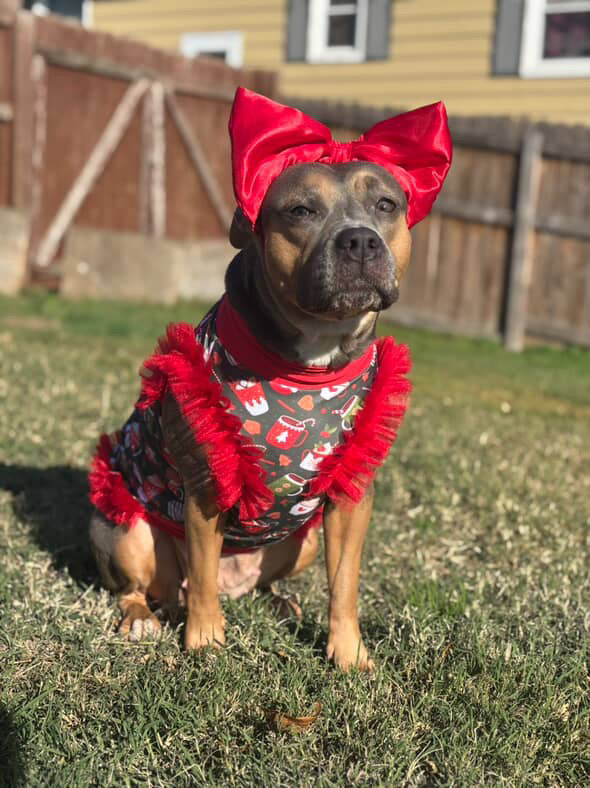 Cozy Weather Goodies Dog Pajama with Red Neck & Trim/Sleeves