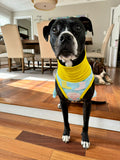 April Showers - May Flowers - PAWjama with Yellow Neck & Trim/Sleeves