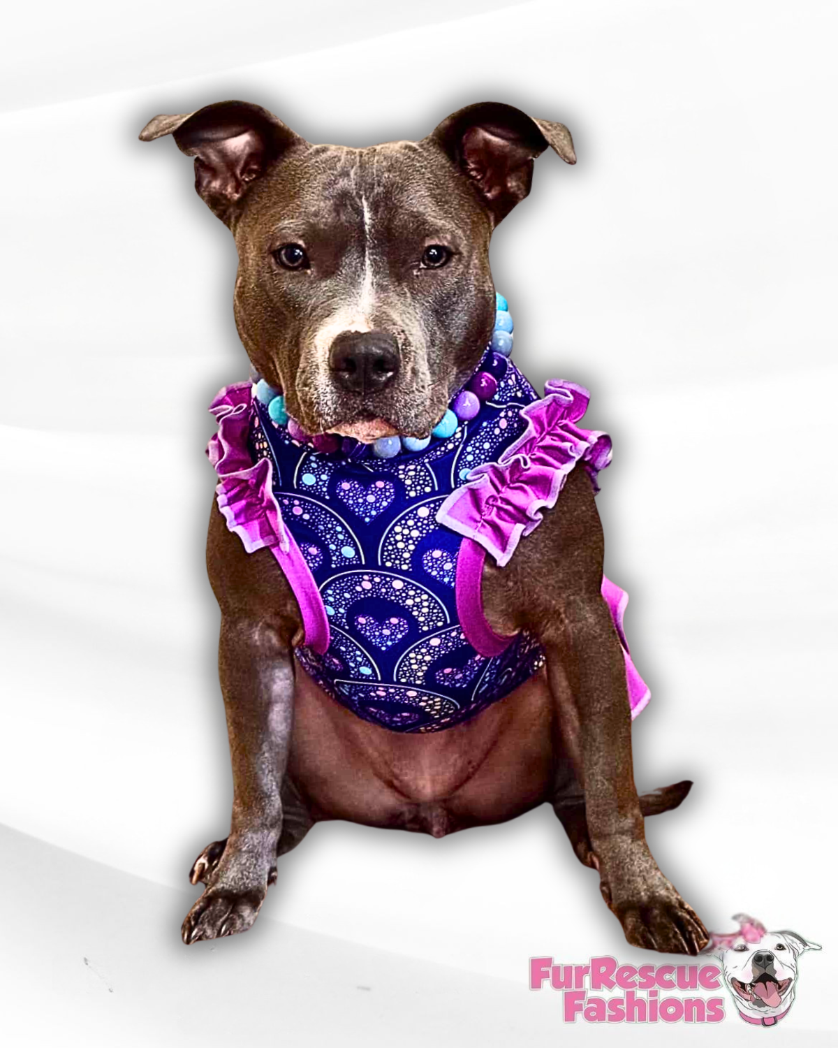 My Fur-Ever Valentine Dog Shirt With Ruffle On Waist (Available in any pattern)