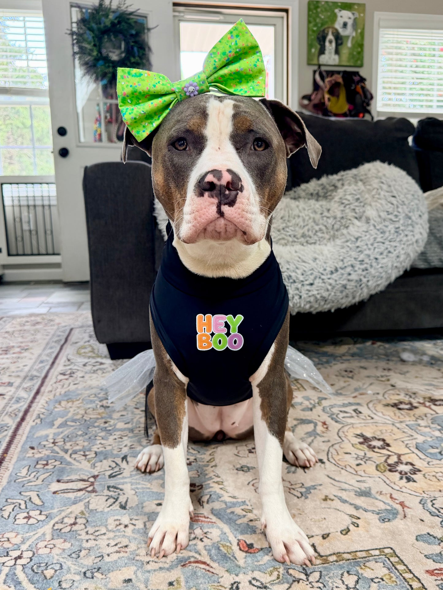Hey Boo Sparkle Tutu Dog Dress
