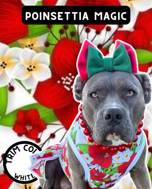 Poinsettia Magic  - Dog Pajama with White Neck & Trim/Sleeves