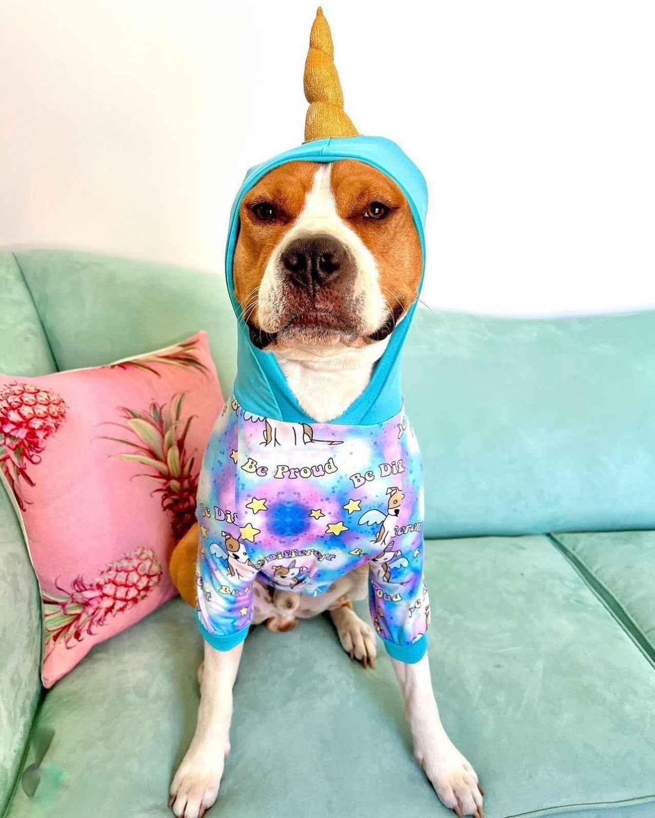 Pittiecorn Proud – Dog Pajama with Aqua Neck & Trim/Sleeves