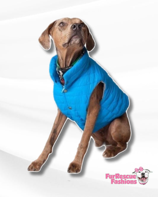 Weather Resistant Puffer Dog Coat