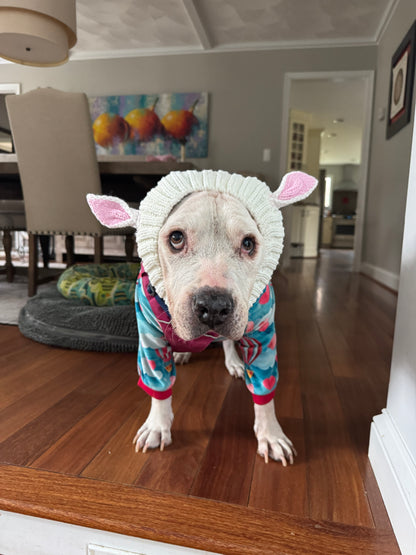 Bunny Cozy Dog Snood