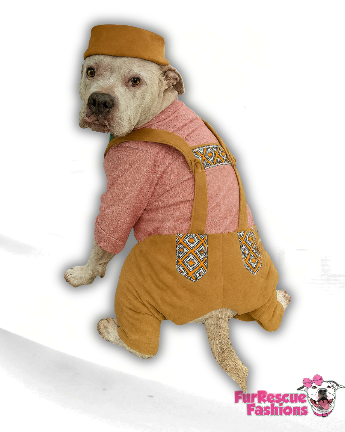 Barktoberfest Lederpaws Dog Costume