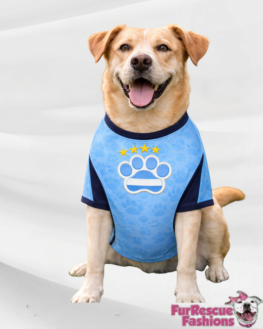 Uruguay Dog Jersey or Ruffle Dress – Soccer Cup 2026 | Custom Pet Soccer Shirt ⚽️🐾 (Copy)