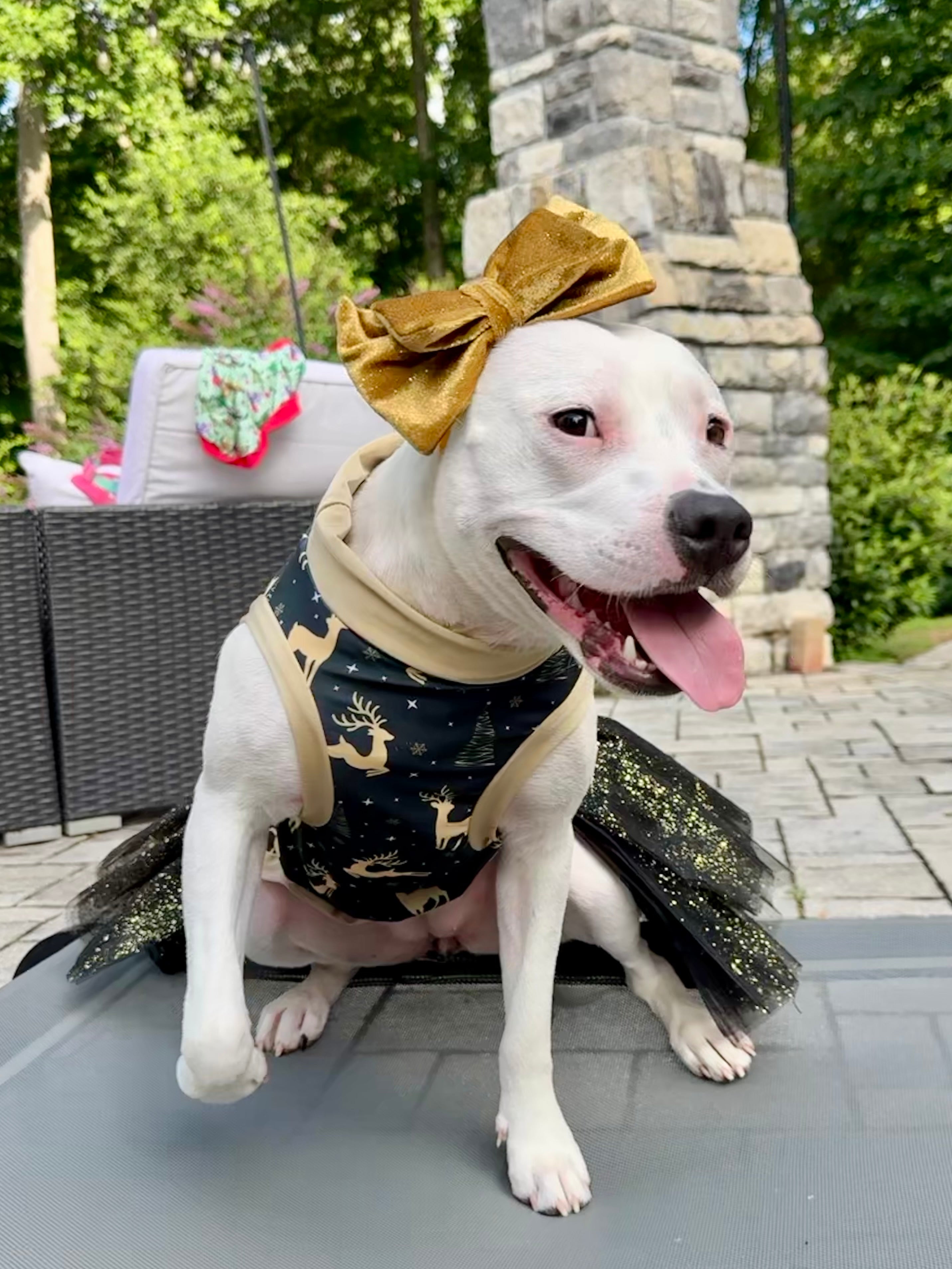 2025 Christmas in July Dog Tutu Dress (AVAILABLE IN ANY PATTERN