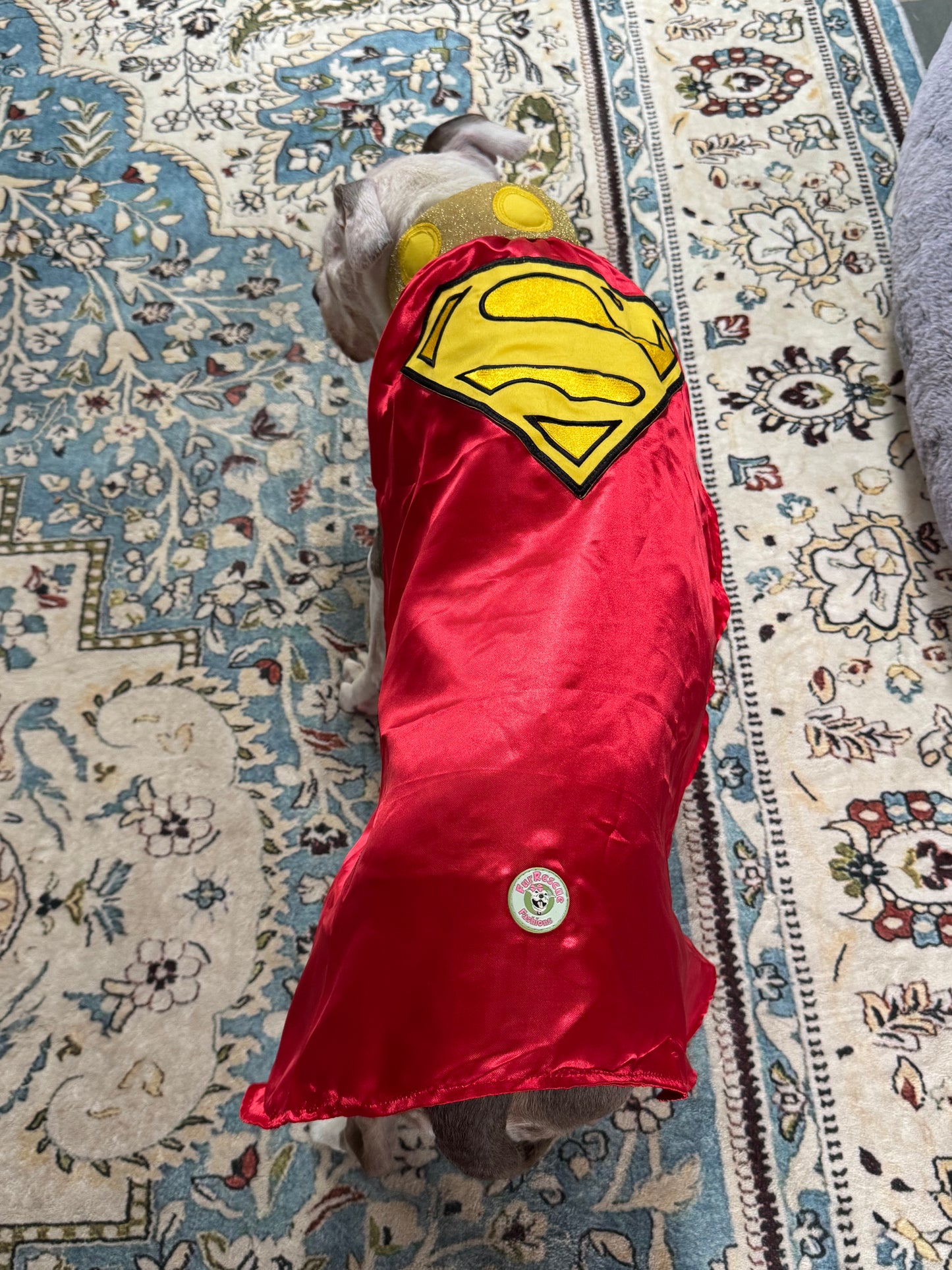 Krypto’s Superpup Cape Dog Costume