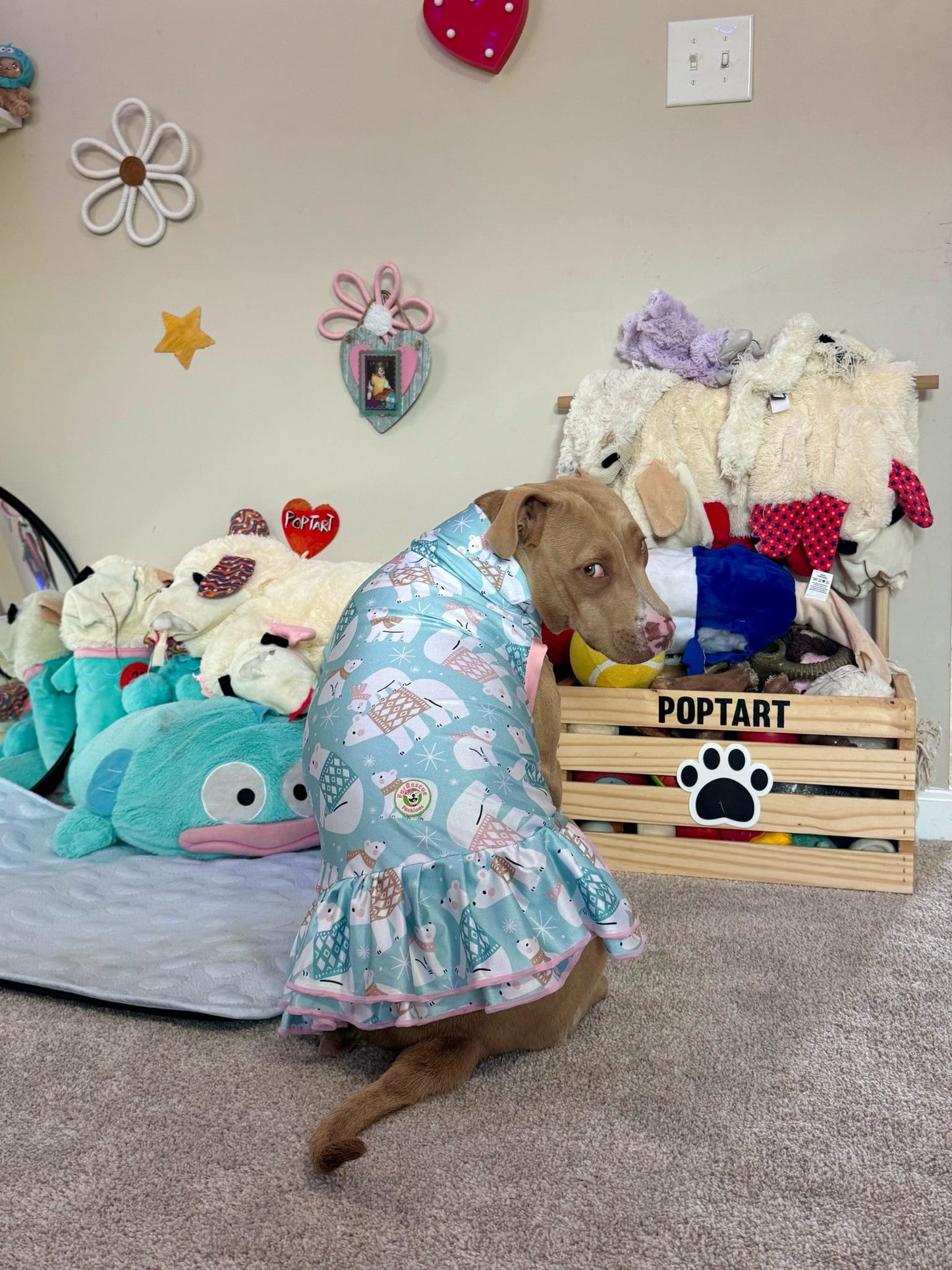 Sweater Weather Polar Bears - Dog Pajama with Pink Or Black Neck & Trim/Sleeves