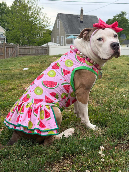 2026 Summer Dog Dress With Ruffle / With Sleeves or Sleeveless (Available in any pattern)