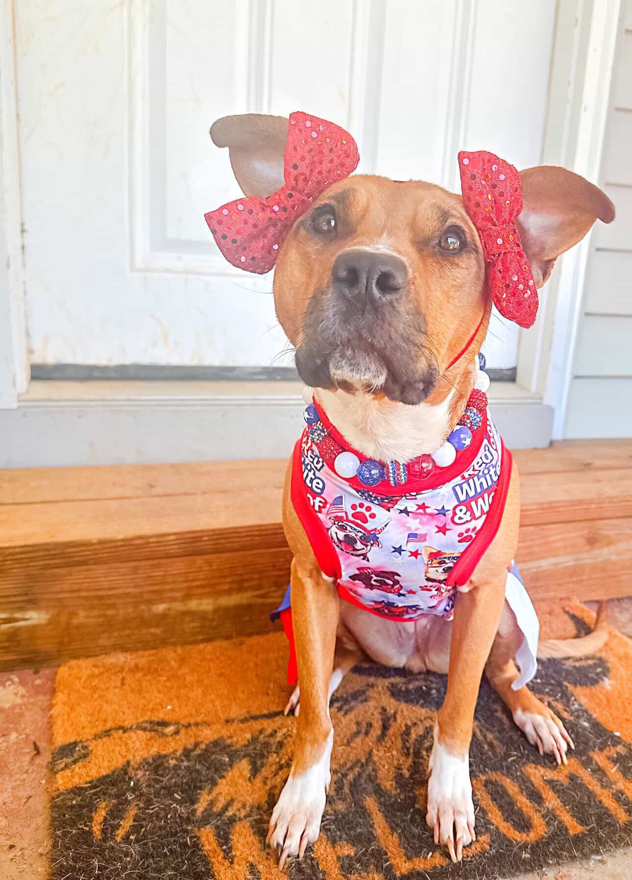 Red, White & Woof - Dog Pajama with Red OR Blue Neck & Trim/Sleeves