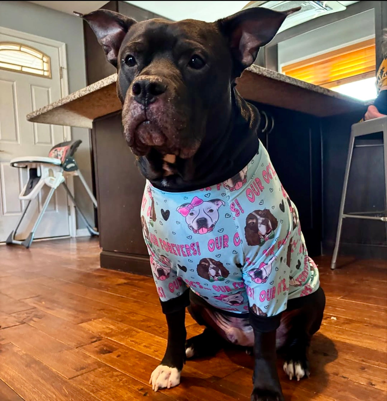 Our OGs Our Forevers (Mint Green) - Dog Pajama with Pink Neck & Trim/Sleeves