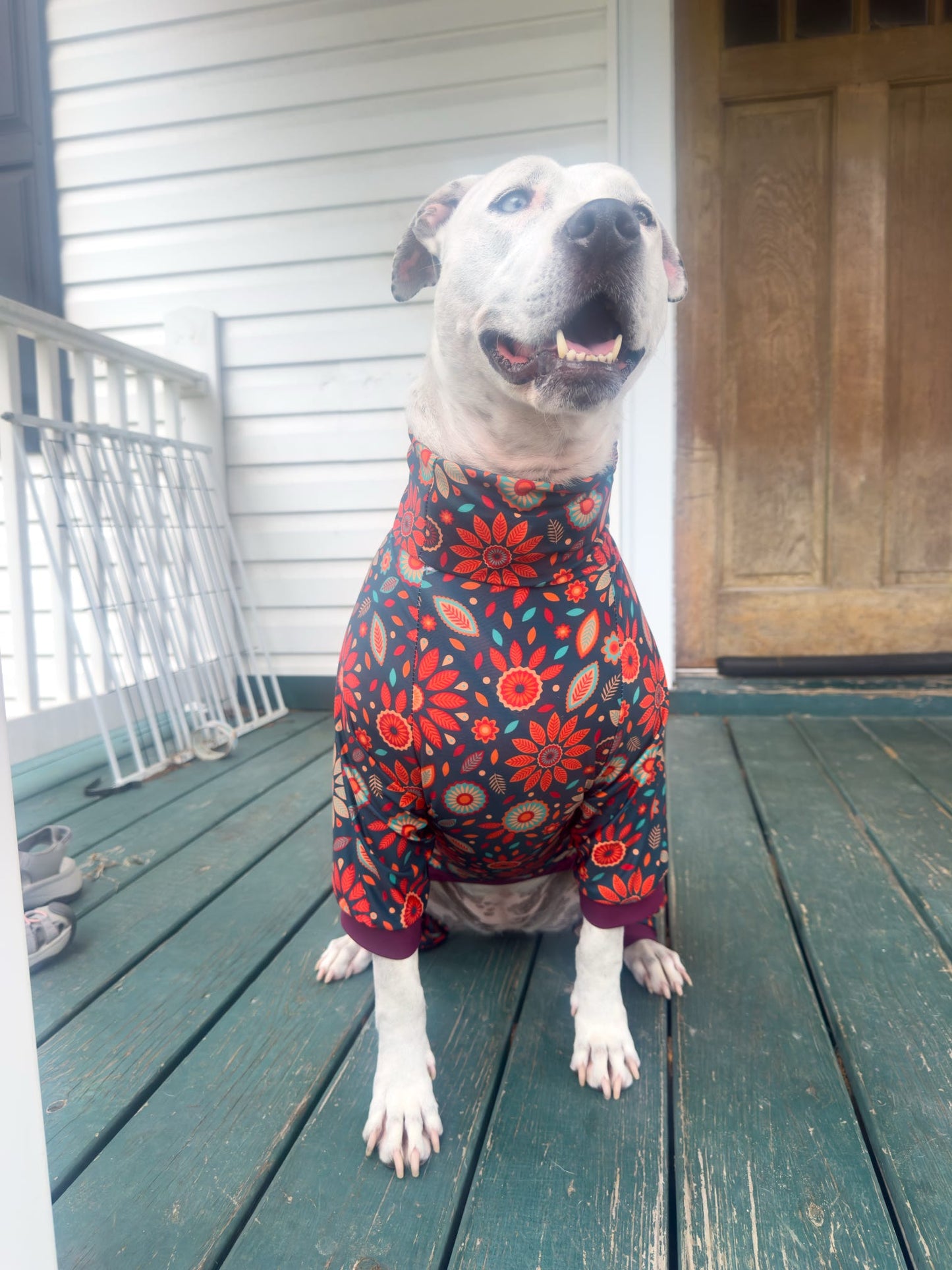 Boho Autumn Blooms - Dog Pajama with Burgundy Neck & Trim/Sleeves