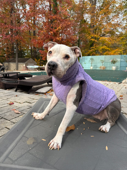 Lavender Cozy Knit Dog Sweater – Ultra Soft Cable Fleece with Sleeveless or Raglan Options