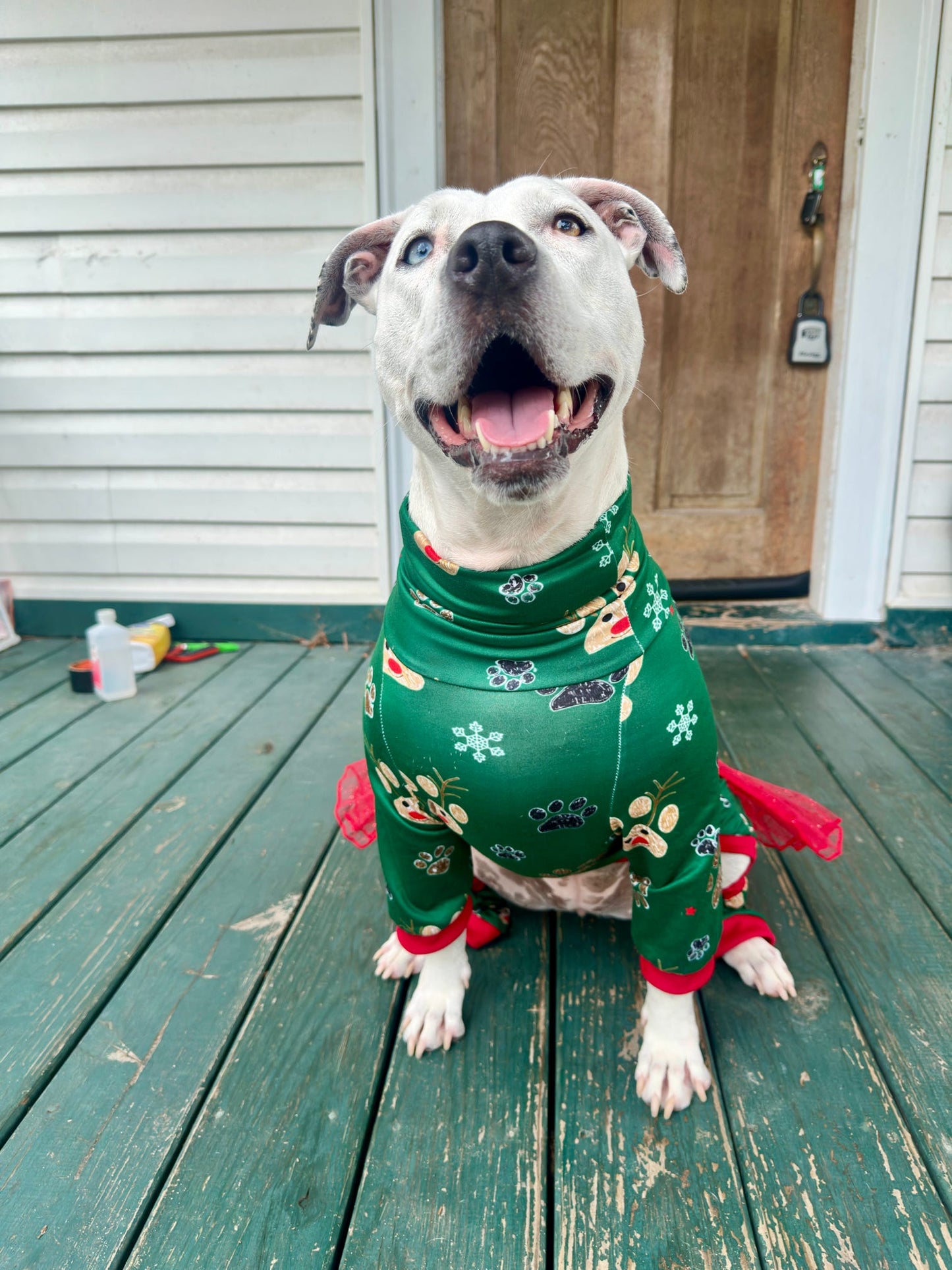 2026 Christmas in July 4 Legged PAWjamas with Turtle Neck (Available in any pattern)