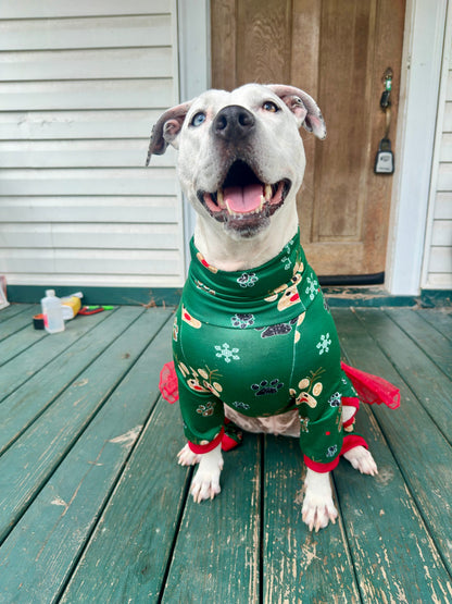 2026 Christmas in July 4 Legged PAWjamas with Turtle Neck (Available in any pattern)