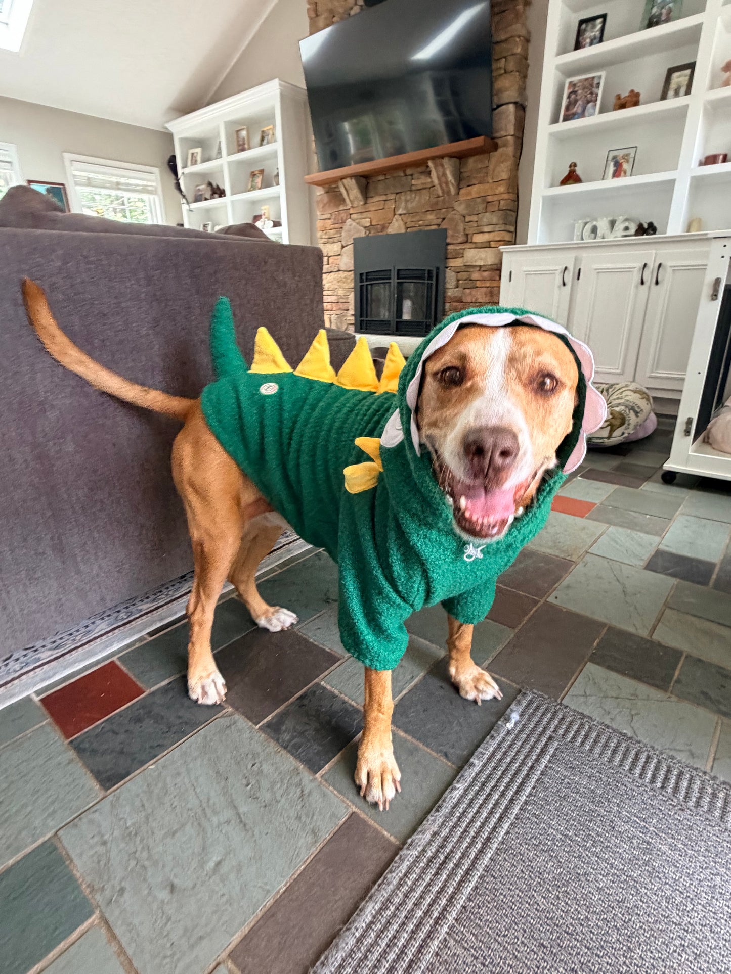 Snappy Dino Rex Dog Hoodie