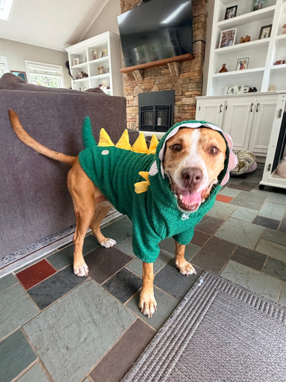 Snappy Dino Rex Dog Hoodie