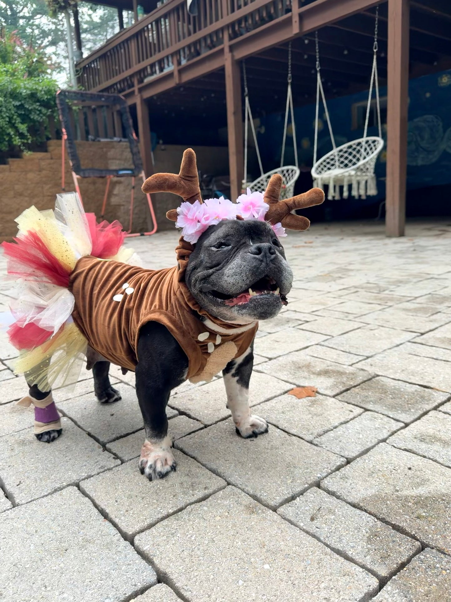 Woodland Reindeer Dog Tutu Dress & Antlers Headband
