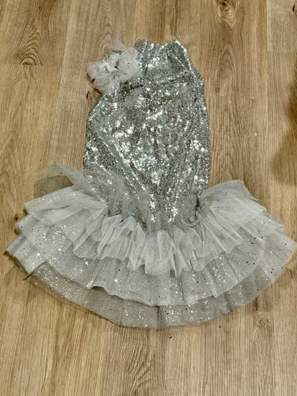 Silver Shimmer Fancy Dog Tutu Dress