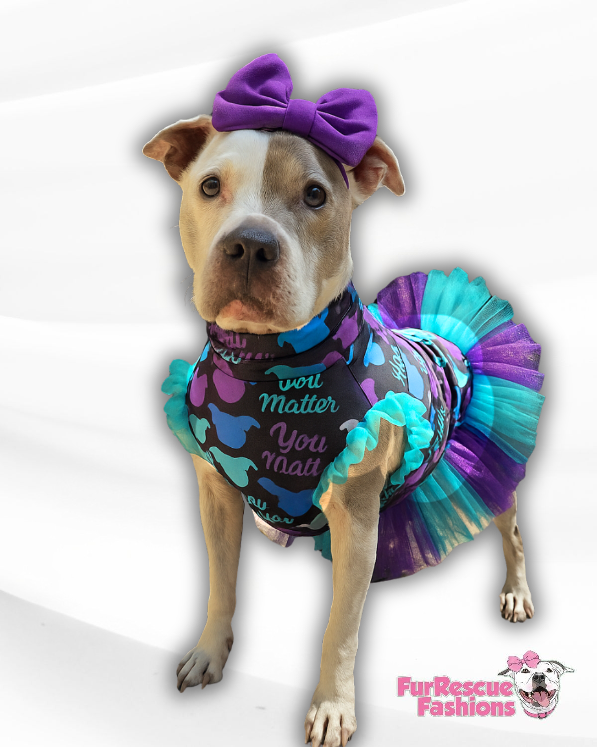 You Matter Dog Tutu Dress