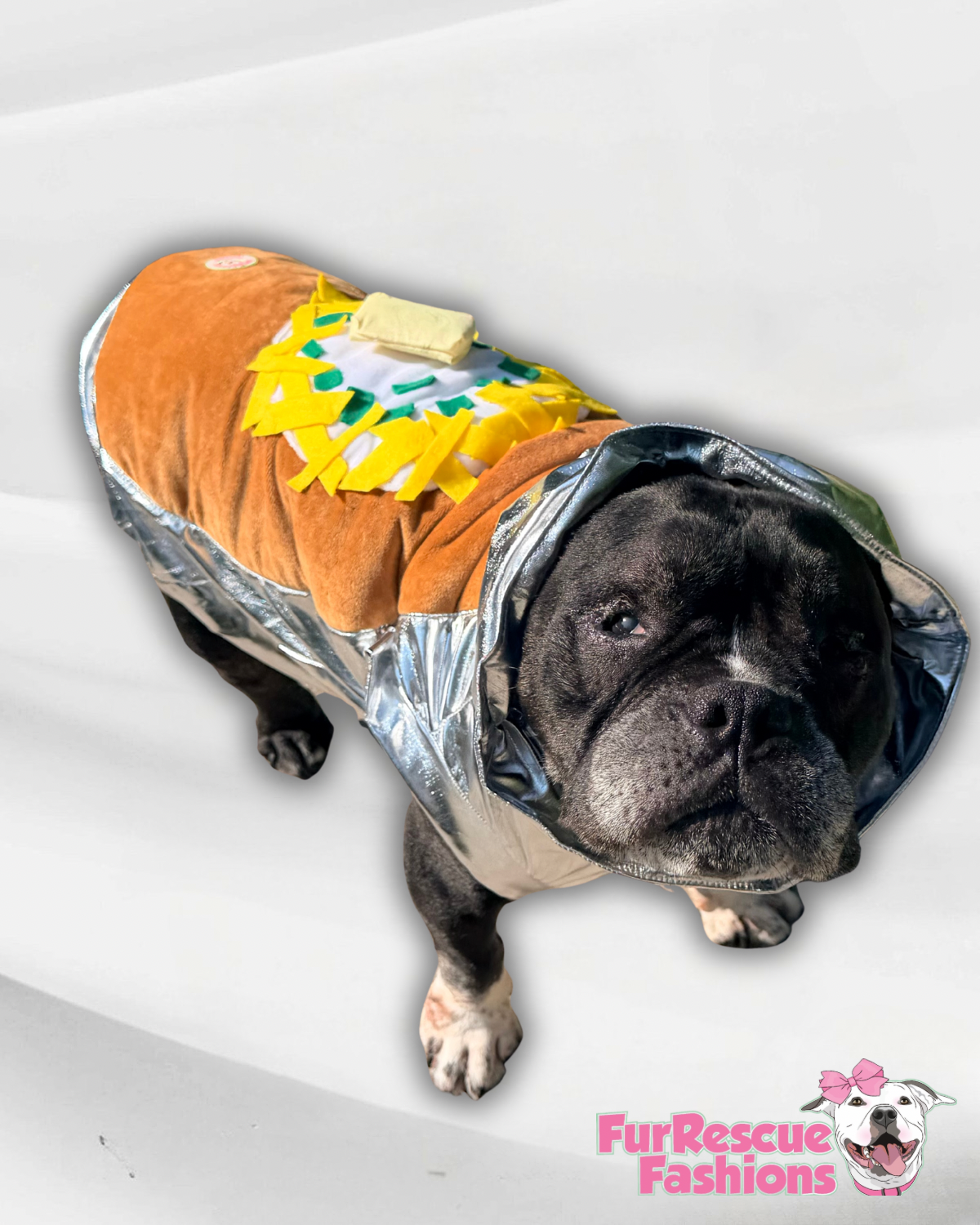 Baked Potato Dog Costume
