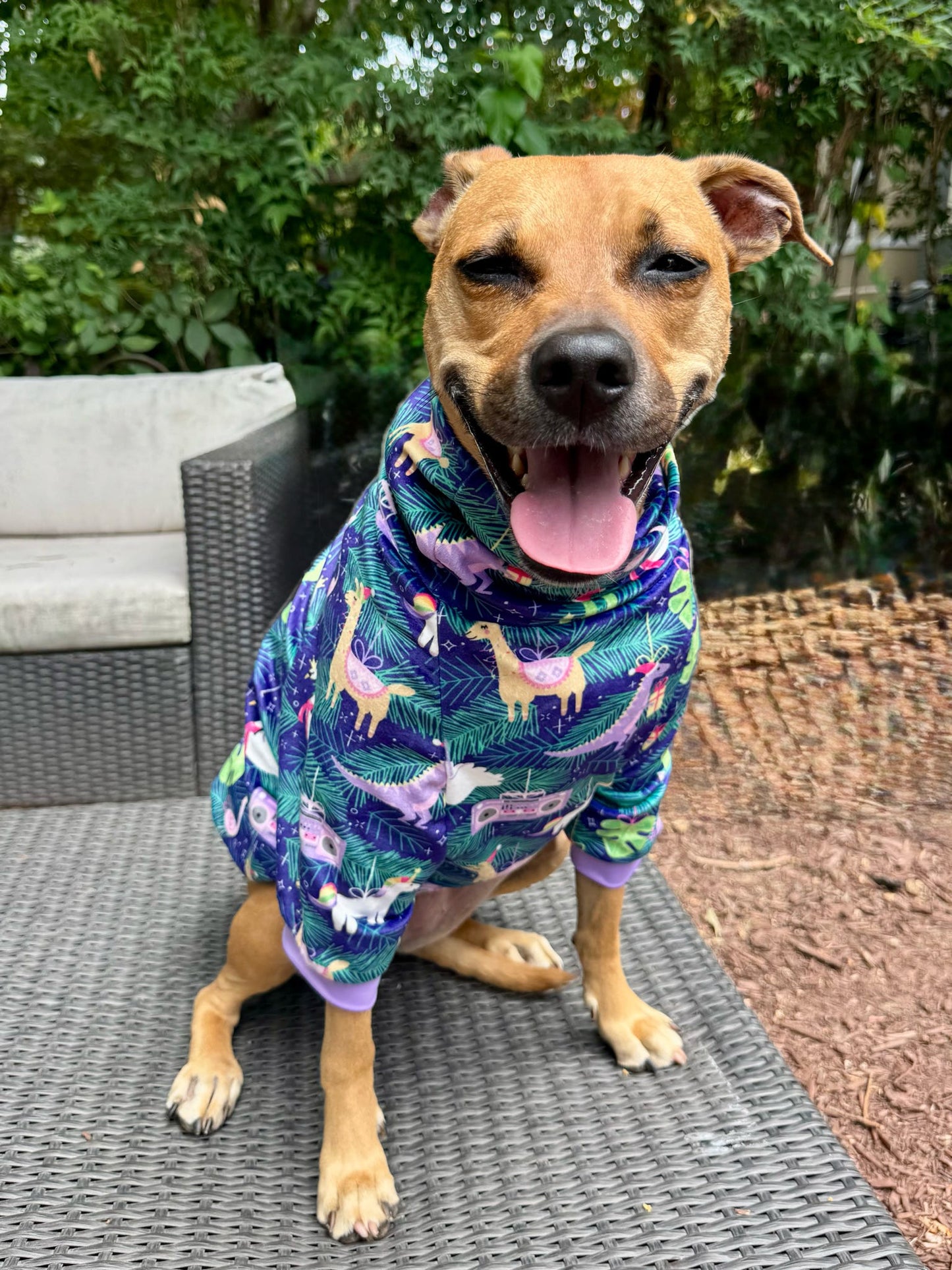 Whimsical Holiday Friends - Dog Pajama with Lavender Neck & Trim/Sleeves