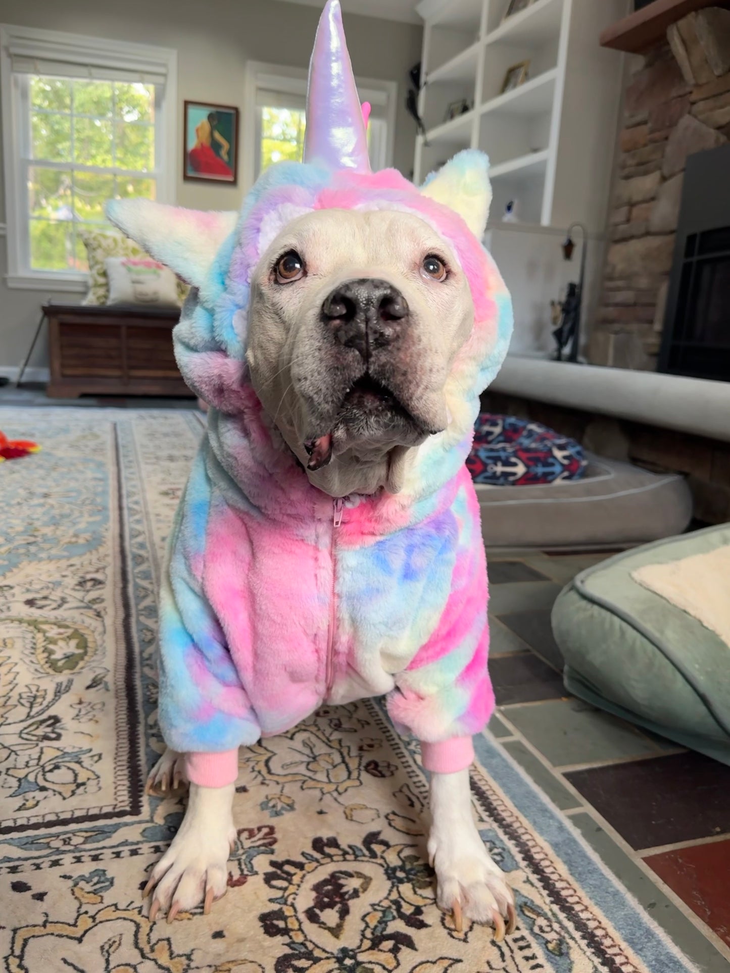 Unicorn Tie Dye Ultra Plush Winter Dog Hoodie