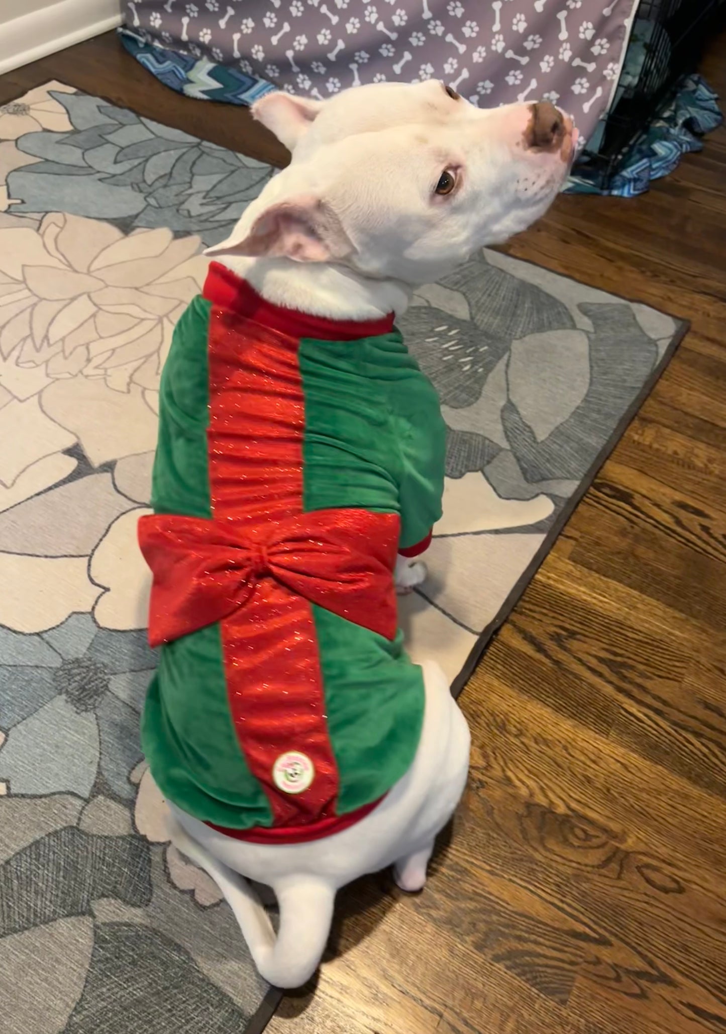 Christmas Gift Bow Dog Sweater