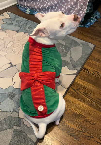 Christmas Gift Bow Dog Sweater