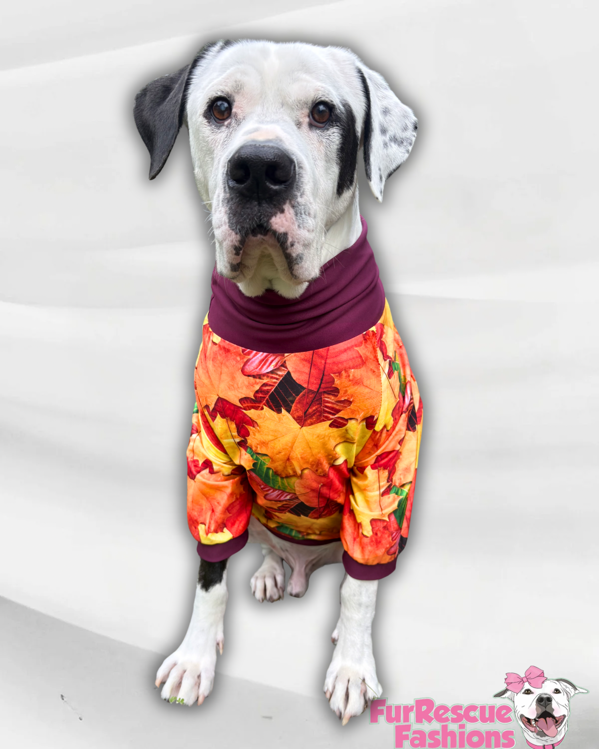 Autumn Harvest Leaves - Dog Pajama with Burgundy Neck & Trim/Sleeves