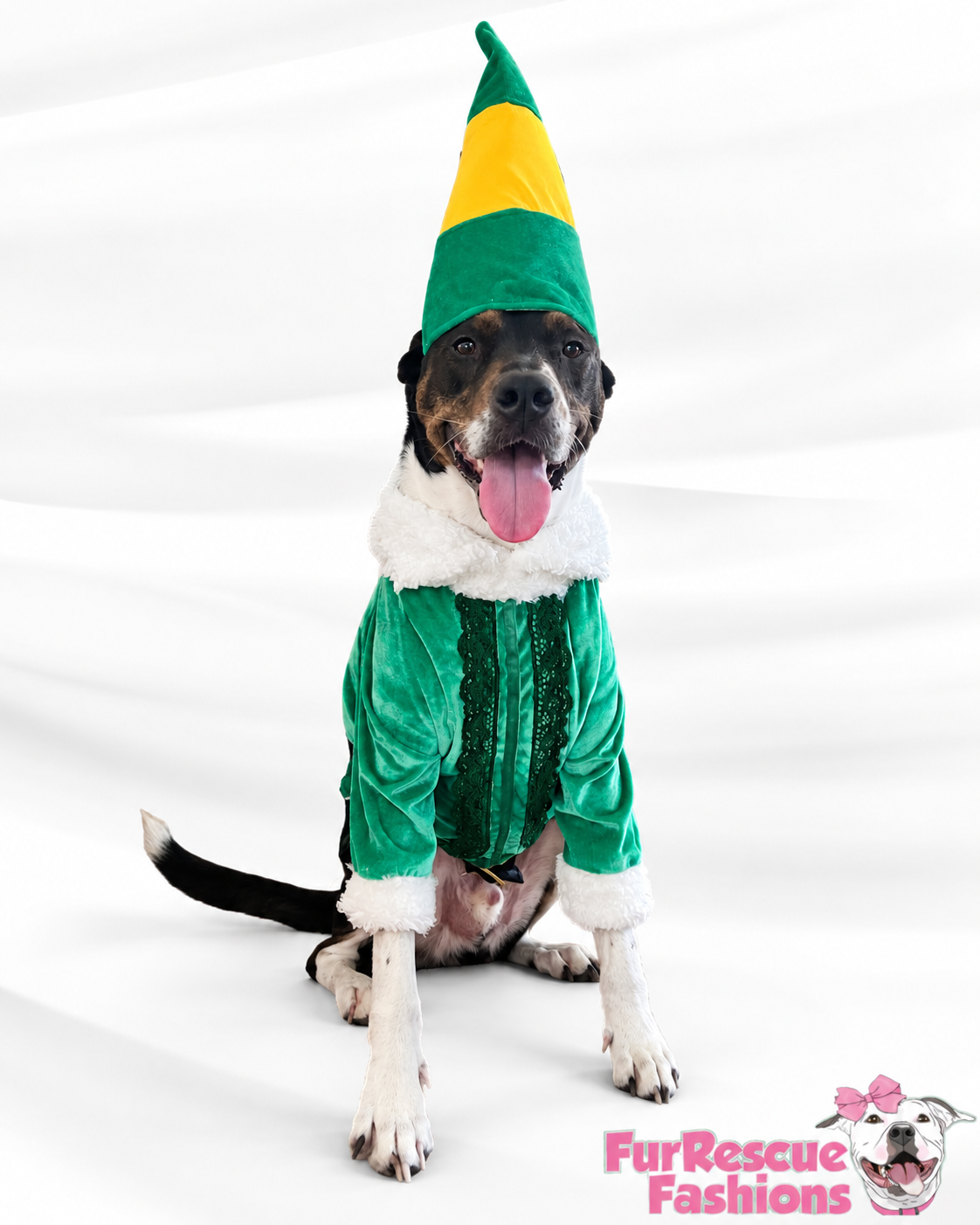 Buddy’s North Pole Couture Christmas Dog Outfit & Hat