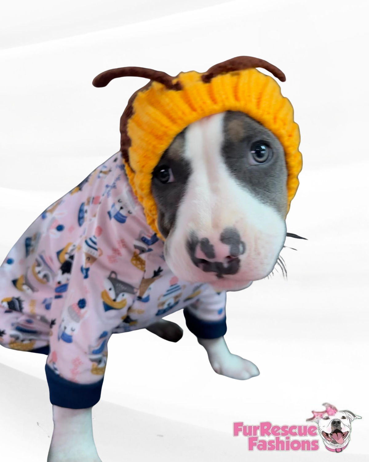 Bee Cozy Dog Snood