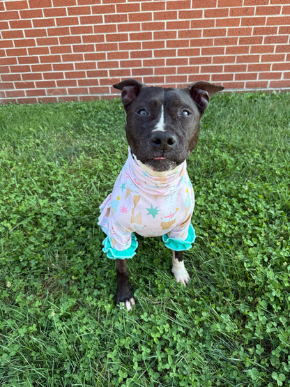 Sweet Scoops of Christmas - Dog Pajama with Mint Green Neck & Trim/Sleeves