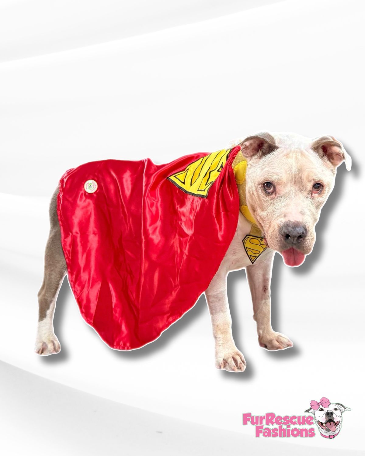 Krypto’s Superpup Cape Dog Costume