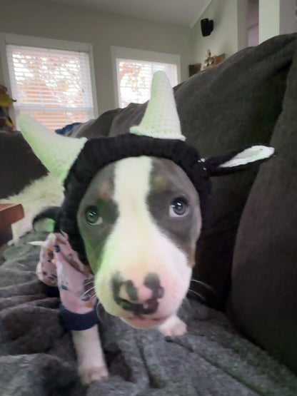 Bull Cozy Dog Snood