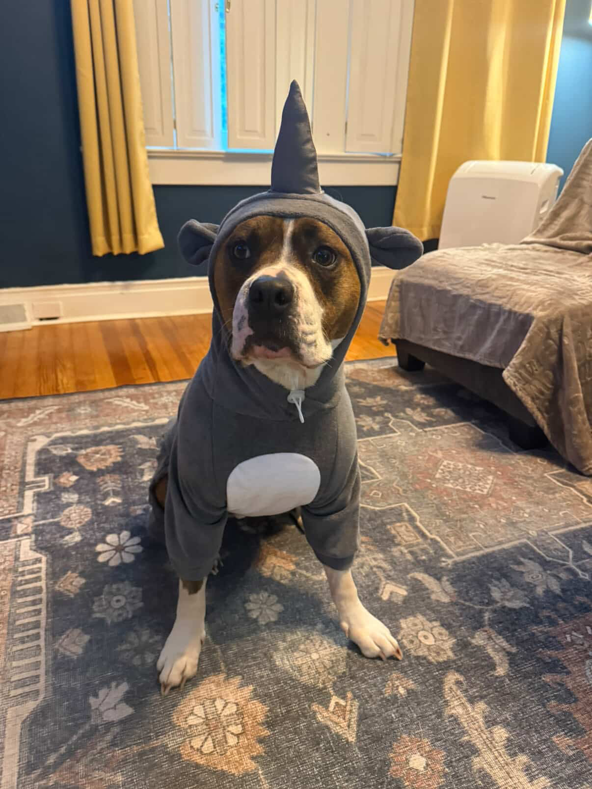 Rhino Dog Costume
