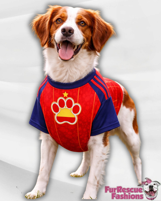 Spain Dog Jersey or Ruffle Dress – World Cup 2026 | Custom Pet Soccer Shirt ⚽️🐾