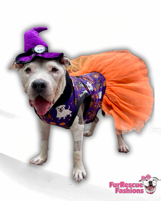 Boop Or Treat Dog Tutu Dress